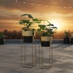 Black Gold Cylindrical Planter Set of 2