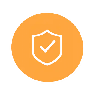 100% Secure Payment